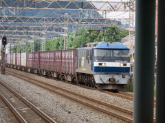 EF210-901貨物02