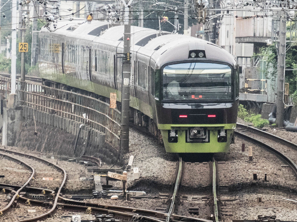 やまどり10