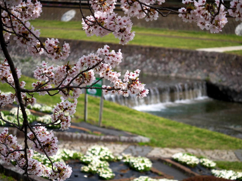 水無川5