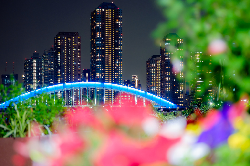 ゆる橋、ゆる夜景