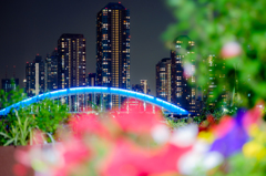 ゆる橋、ゆる夜景