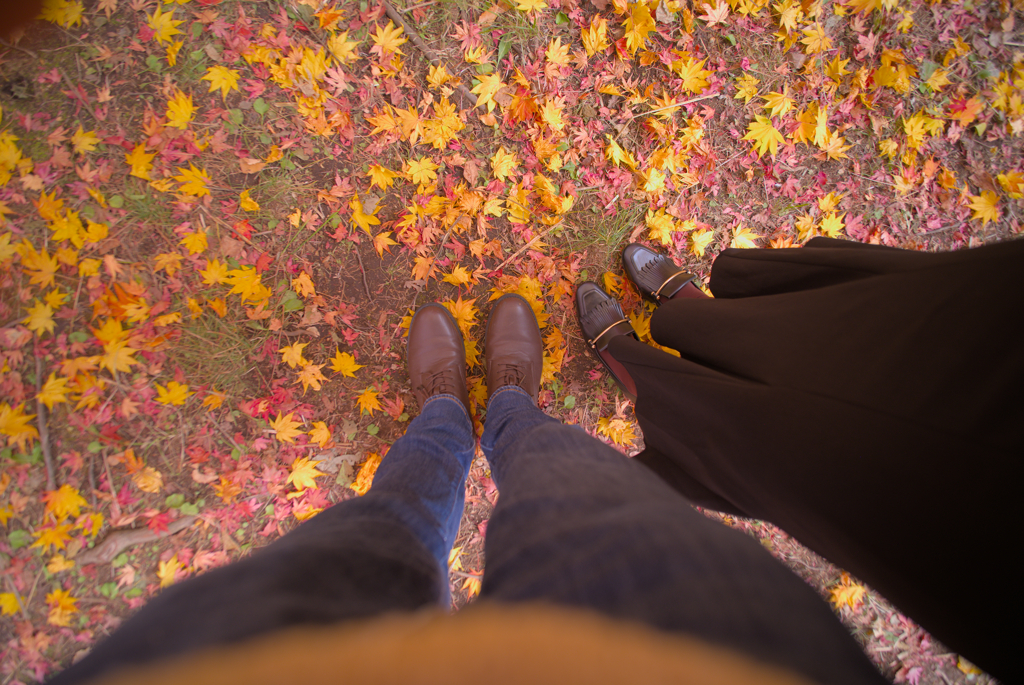 紅葉4