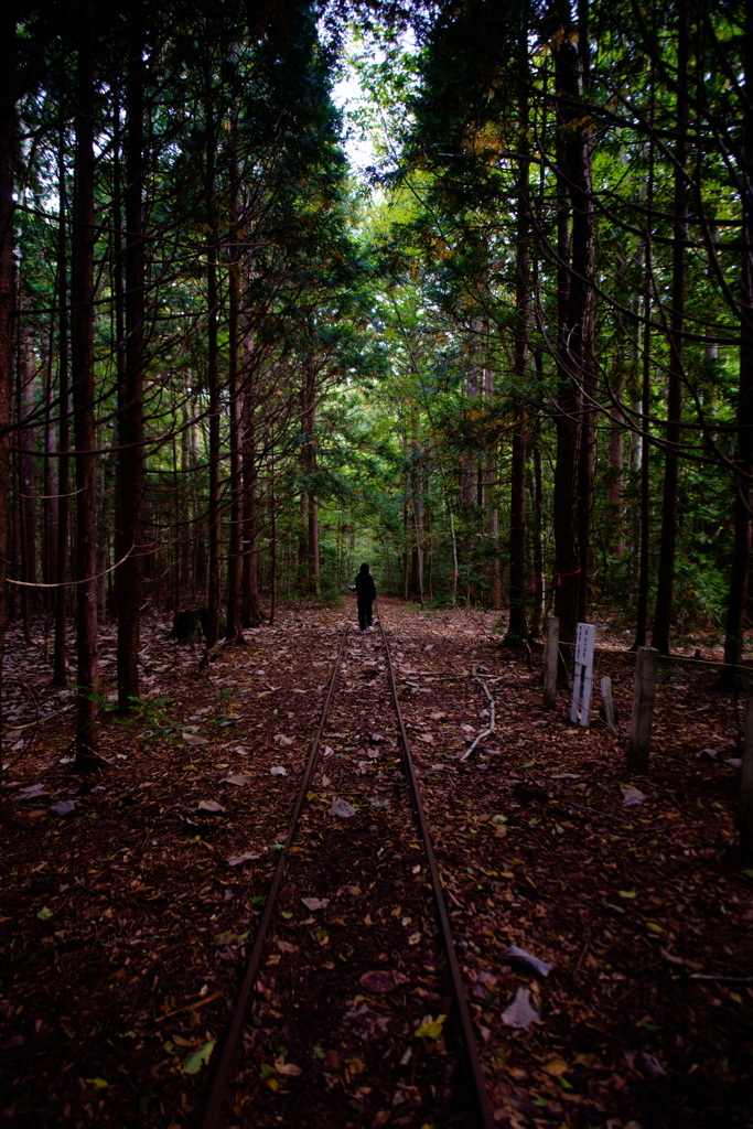 森の中の線路