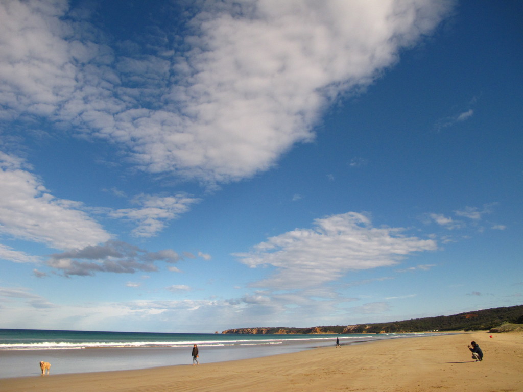 A beach in Melbourne