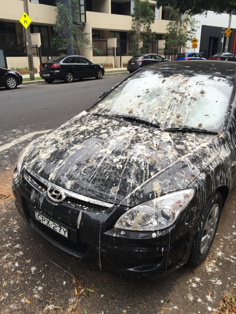 駐車違反はやめましょう