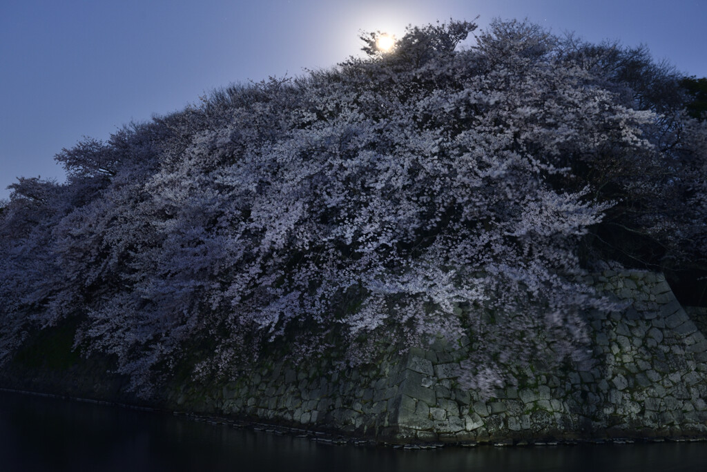 月下の優美