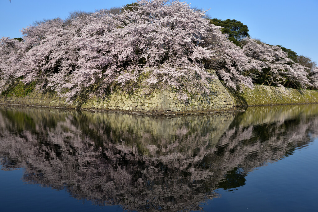 風格の春