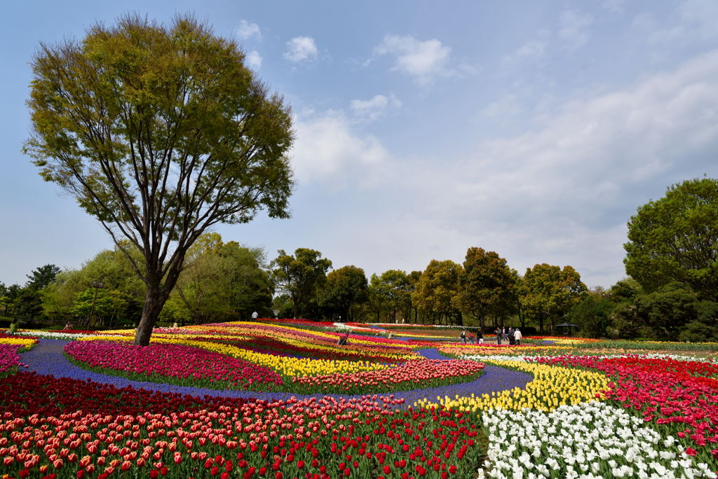 パズルの園