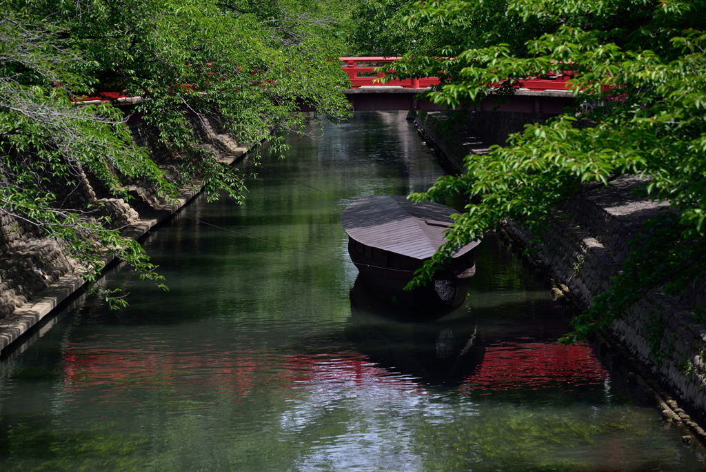 新緑の水路