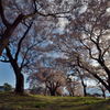 桜道