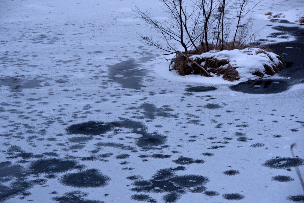 氷紋