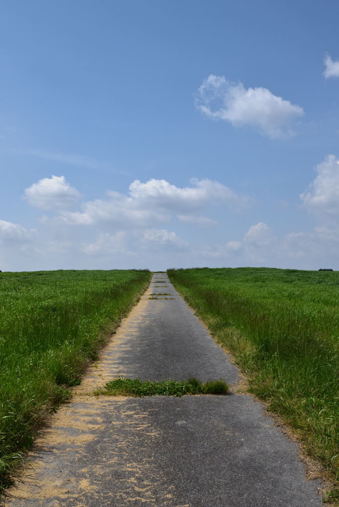 大空へ続く道