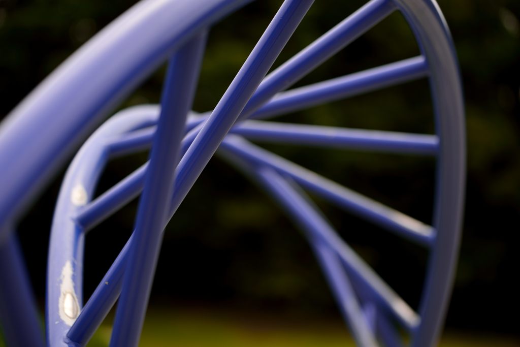 Loop　of  Life