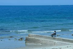 海　独り静か