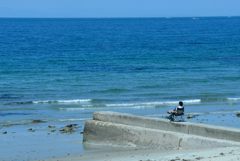 海　独り静か