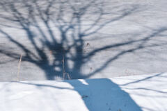 雪影