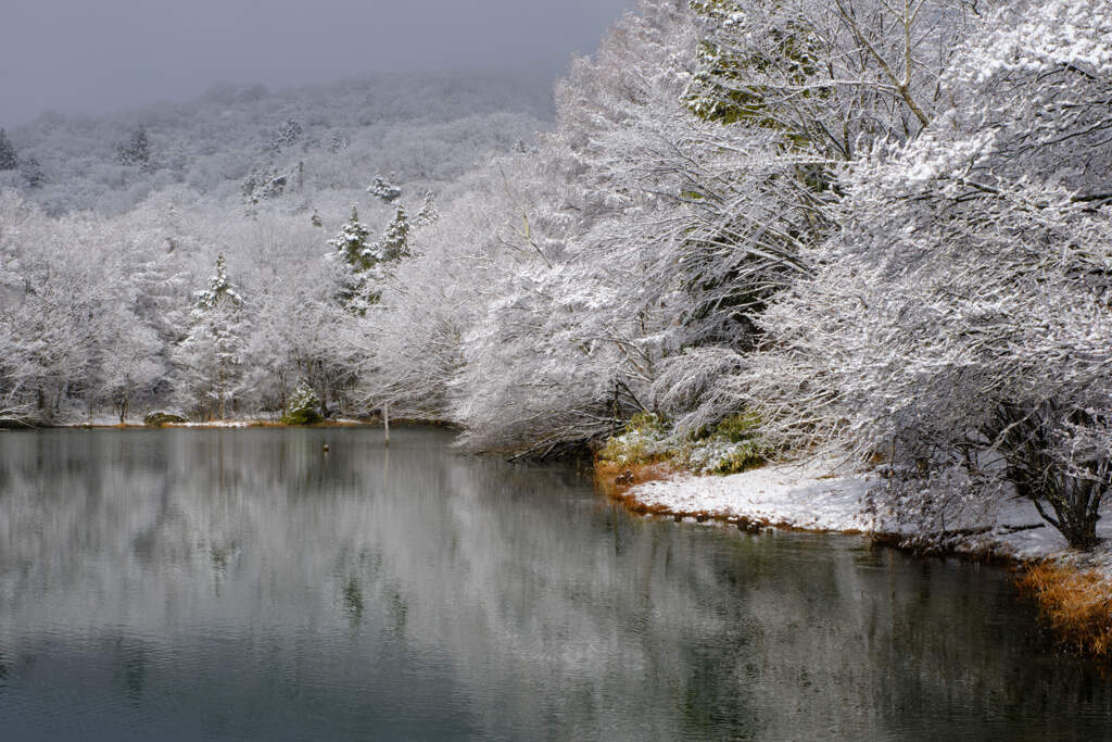 雪景色