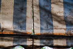 いつかは復活して欲しい