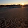 砂丘の目覚め