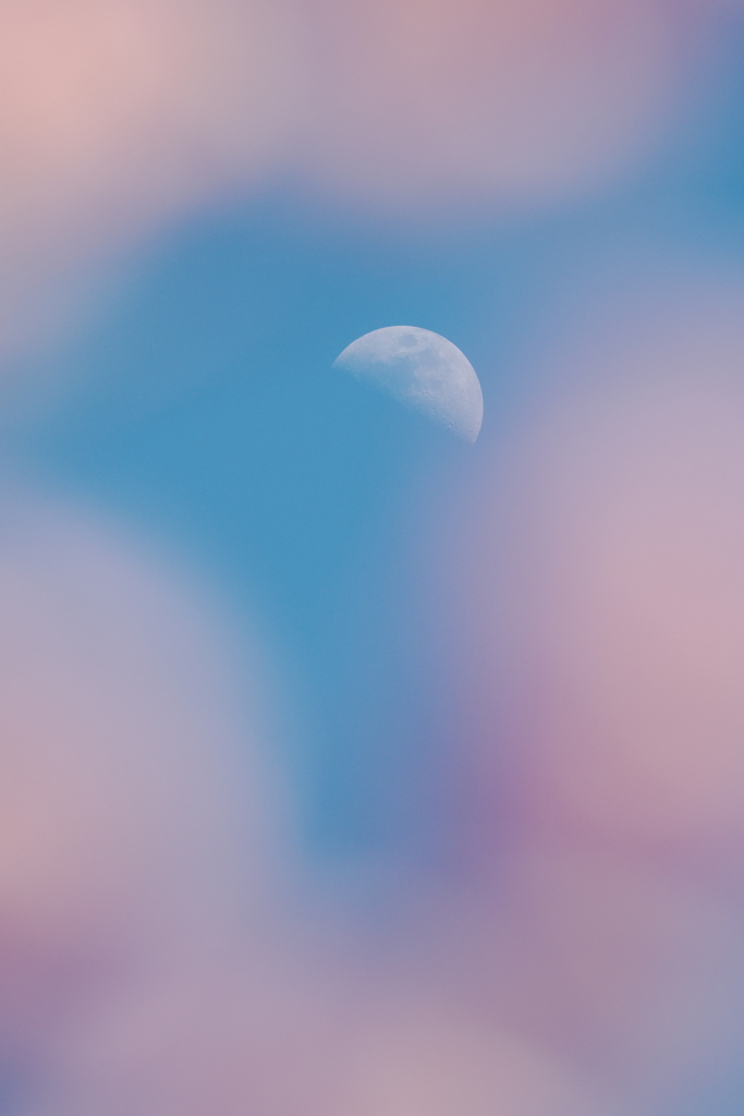 春宵の月Ⅰ