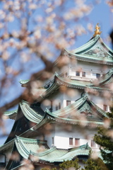 街にも春が来た