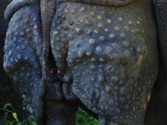鎧のパンツ