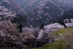 里山の春