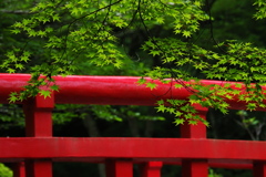 赤と緑