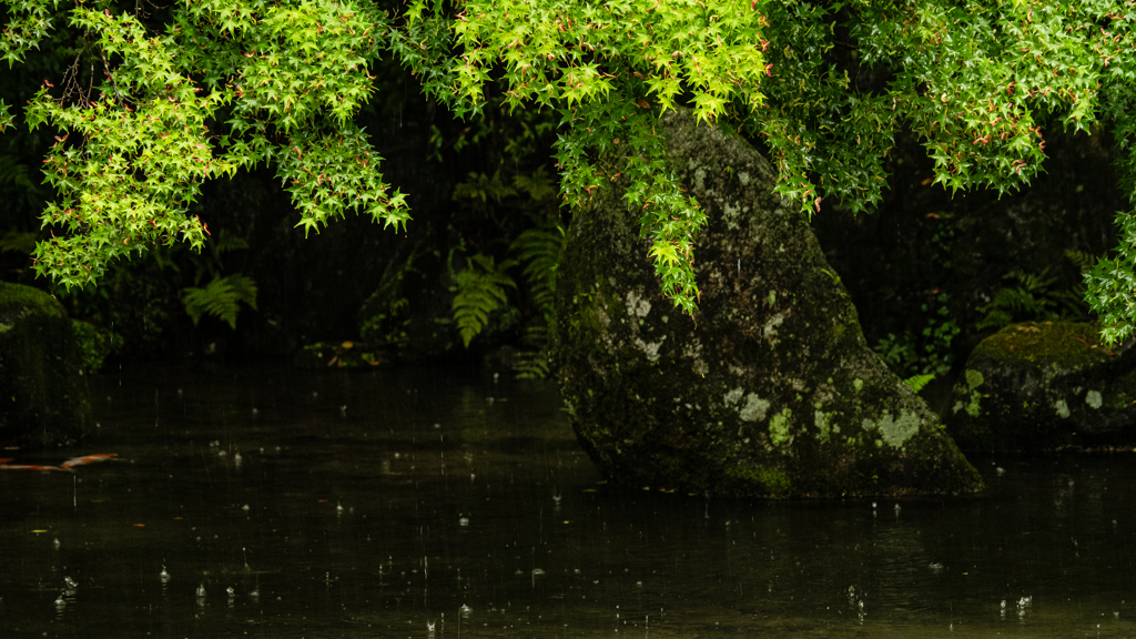 雨に唄えば