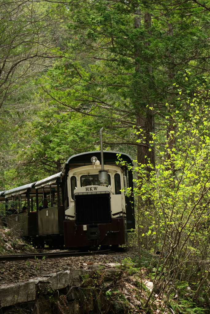 新緑鉄道