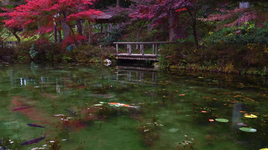 モネの池の秋