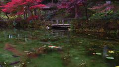 モネの池の秋
