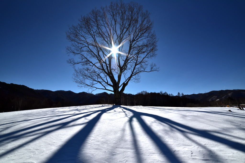 雪景の星