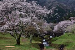 里山の春景(しゅんけい)