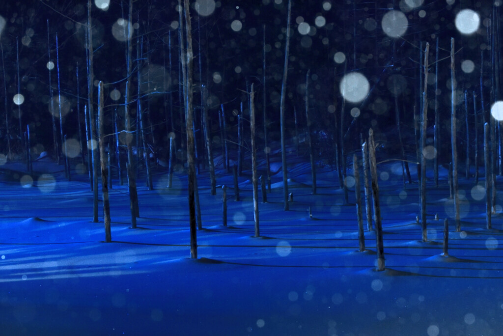 雪降る凍湖
