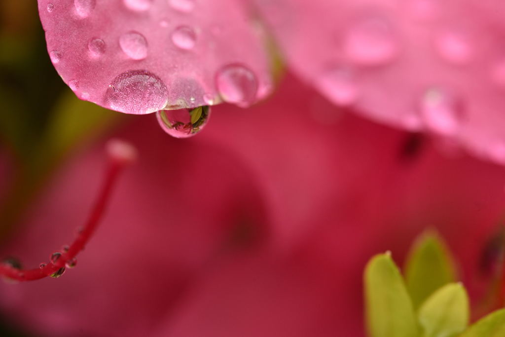 雫