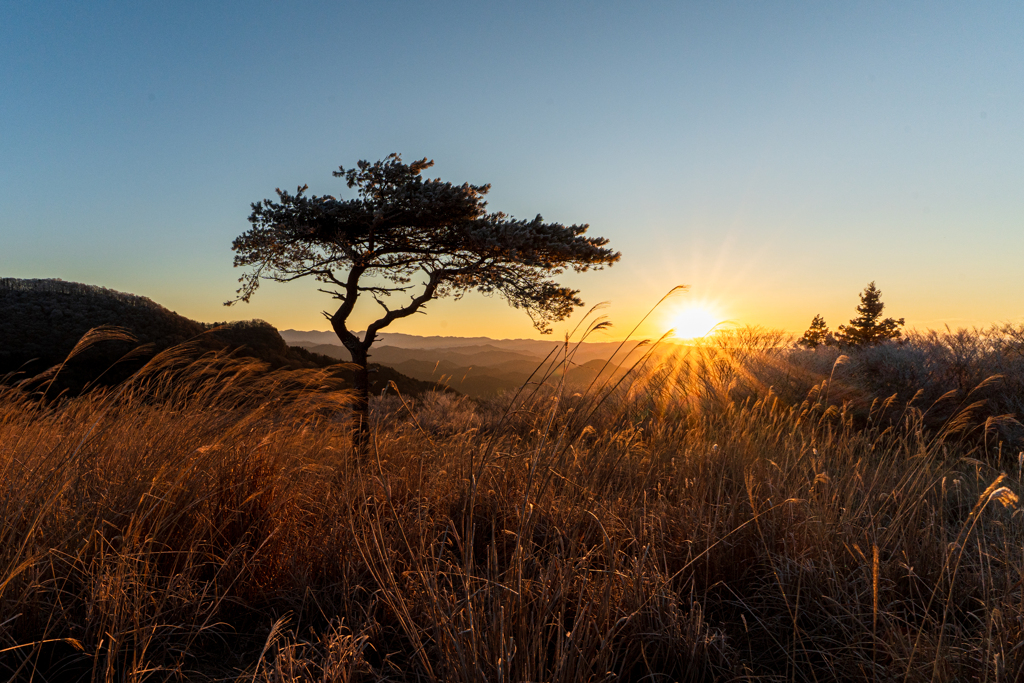 ２０２６初日の出