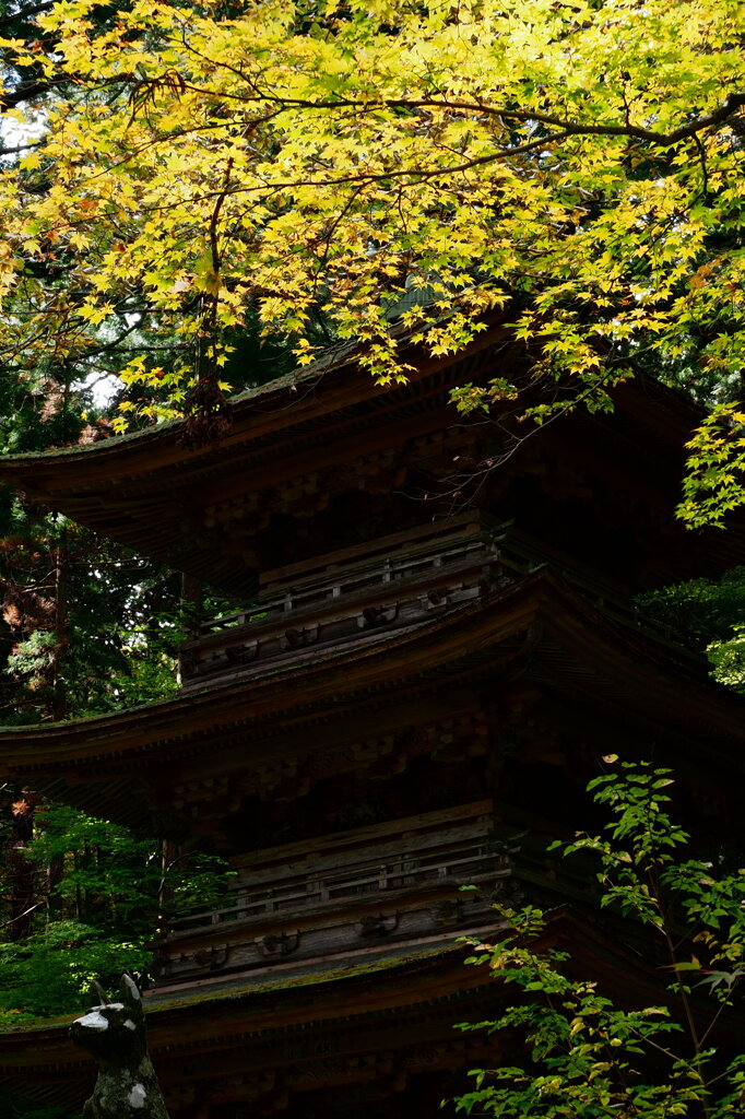 黄葉の塔