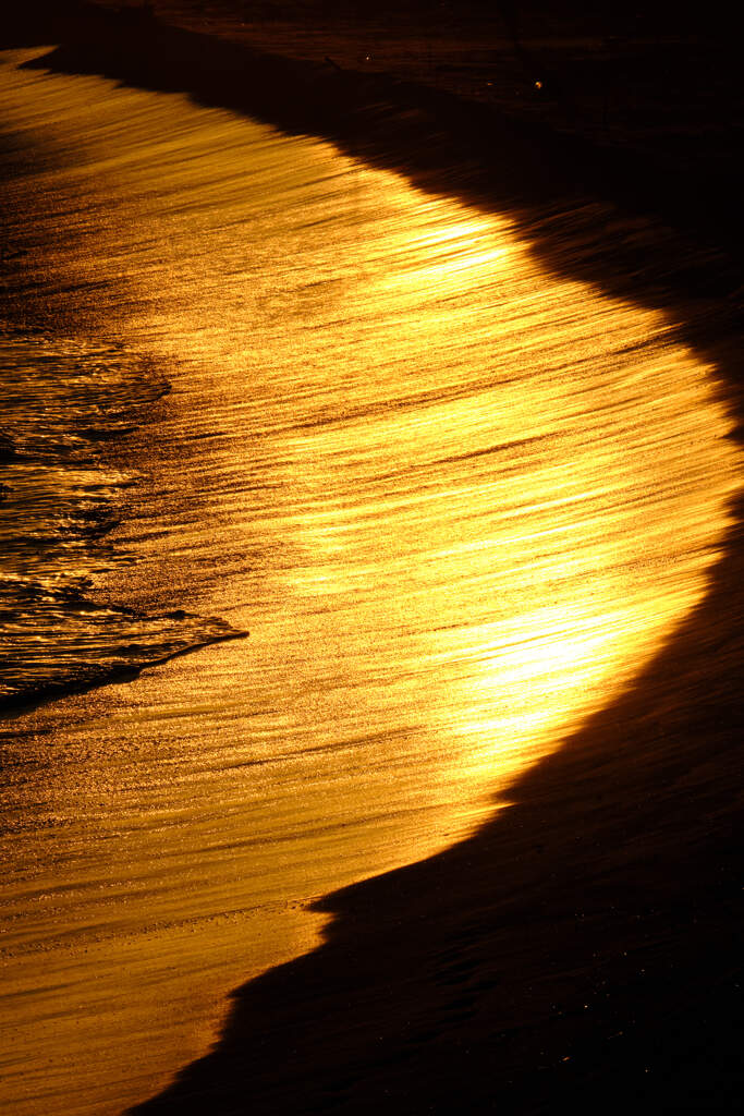 GOLD　LINE