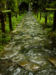 雨情の石畳
