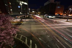 それぞれの光跡