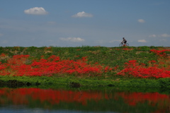 彼岸のサイクリングロード