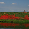 彼岸のサイクリングロード