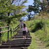 頑張れ！