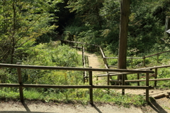 7Q5A0339kome