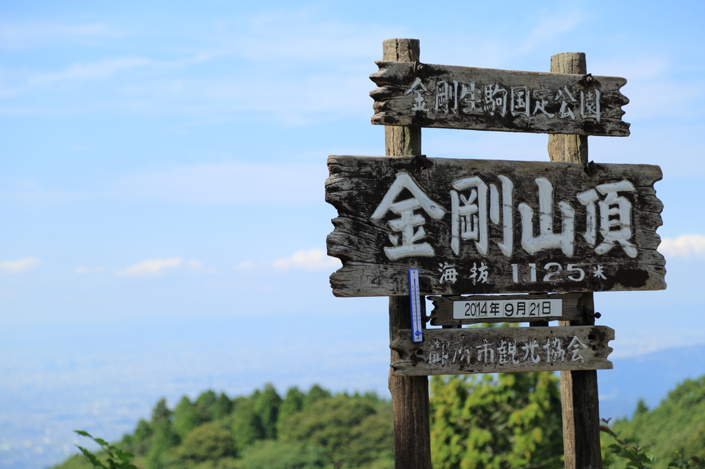 7Q5A0334kome