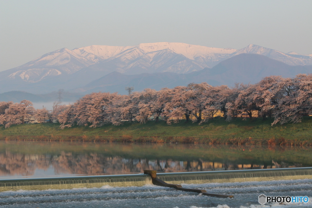 一目千本桜Ⅱ