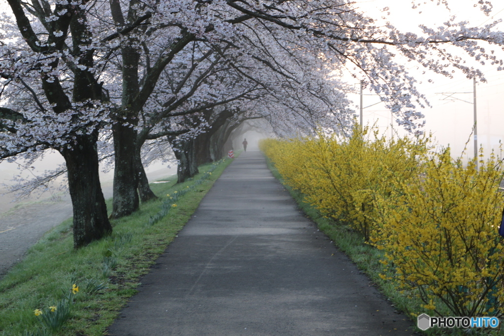 一目千本桜Ⅰ