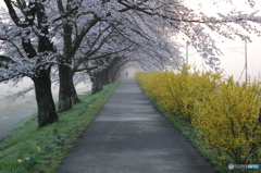 一目千本桜Ⅰ