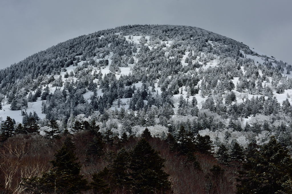 雪景色